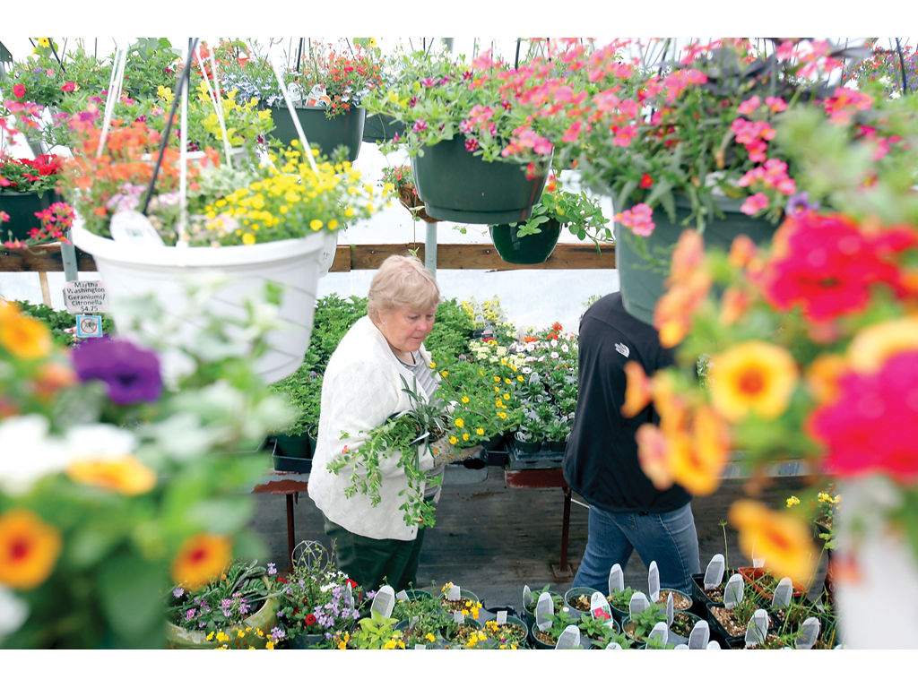 layton nursery helps patrons get a jump on summer pots News, Sports